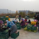 아산유통 이미지