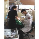 보스톤가족치과의원 이미지