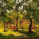 풍치축산 이미지