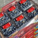 형제청과 이미지