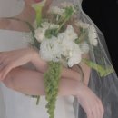 온더피티스튜디오 서초점 | 헤이허니 스튜디오 서초 솔직 후기｜라주연작가님 지정