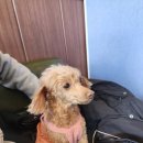 별휴게점 이미지