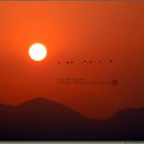 ﻿새해 목회 계획과 방향 이미지