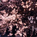 지오소피 이미지