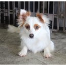 너와함개냥 이미지