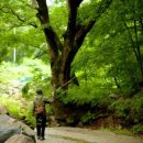 칠봉산민박 이미지