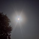 용진슈퍼 이미지