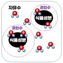 자유수