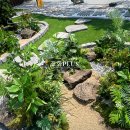 365매일한방병원 앞 이미지