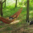 우리황토집민박 이미지