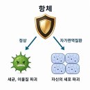 자가면역질환 증상, 몸이 보내는 신호