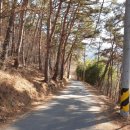 이상형묘비 이미지