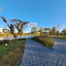 장성군 수영장 주차장 이미지