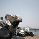 남해장어 이미지