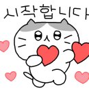 나츠래쉬 이미지