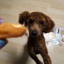 멍이와 냥이의 부엌 이미지