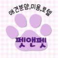 펫앤펫 인천점 강아지분양의 모든것 네이버블로그