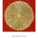 빛기획