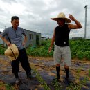 흥부농장 이미지