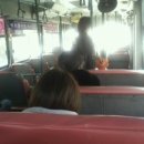 드리움공원 버스정류장 이미지