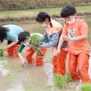 세중초등학교 이미지