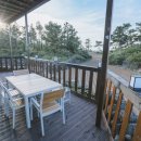 솔레올레 이미지