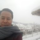 르본상사 네이버블로그