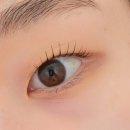 마포공덕파크팰리스Ⅱ 오피스텔 | 공덕역 속눈썹펌 맛집 <이요샵>에서 C컬펌 한 솔직후기