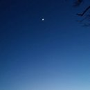 춘심이네 식당 이미지