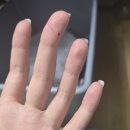 강동24시SKY 동물병원 | 생후5일 고양이! 강동24시SKY동물의료센터 방문~