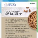 매일건강