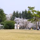 대구광역시청 산격청사 이미지