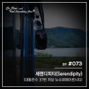 뉴세렌디피티