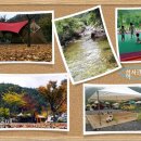 무릉도원면-41 이미지