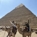 기자레스토랑 이미지