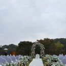 롤링힐스 호텔 | [경기도 화성] 화성 롤링힐스 호텔 야외정원 결혼식, 뷔페 후기