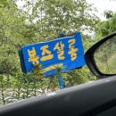 횡성 데이트, 시골마을 감성 베이커리 카페 봉즈살롱