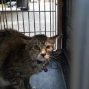 연기동물병원 이미지