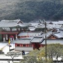 웰빙기획