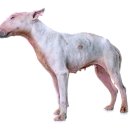 이스턴동물병원 이미지