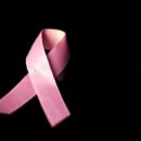 엘바이오 이미지