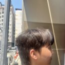 세라세미 이미지