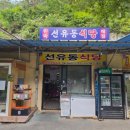 학유정민박