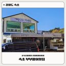 부부활어회센터 | 회포장 추천｜외옹치해수욕장 횟집 [속초 부부활어회센터] 숙소까지 신선도 그대로 유지한 솔직 후기