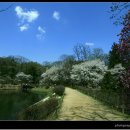 소풍B