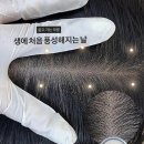 (유)녹색환경 | 팀장이 먼저 머리 뭐 했냐고 물었습니다, 동대구역 두피문신 후기 [2026]”