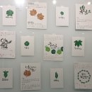 에코식물 생태도감 이미지