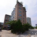 우송그린 아파트 이미지