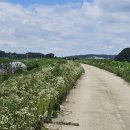 도리1리 이미지