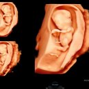 구세산부인과의원 이미지